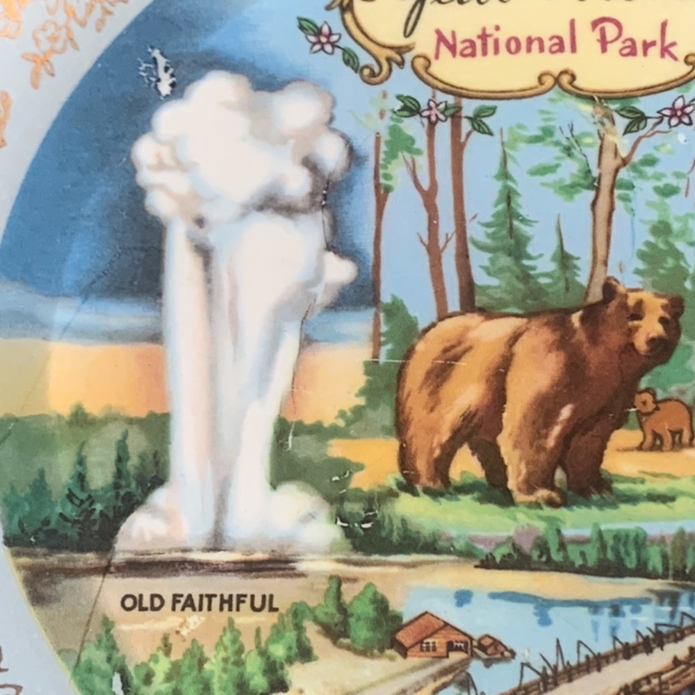 Yellowstone Plate - Picture 5 of 13